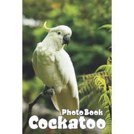 Cockatoo Photo Book: Awesome Photobook With Beautiful Images And Cover Of Cockatoo For Decoration | Perfect Gift For Special Occasions