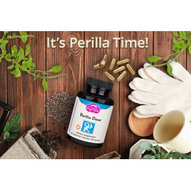 Dragon Herbs - Perilla Clear Capsules - 60 Capsules, 500 mg Each