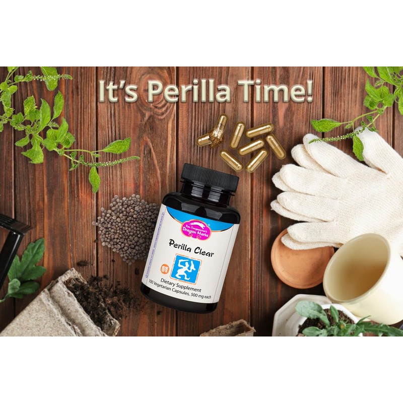 Dragon Herbs - Perilla Clear Capsules - 60 Capsules, 500
