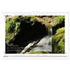 Biblical Sayings and Verses (Wall Calendar 2026 DIN A4 Landscape),