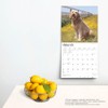 Goldendoodles | 2025 12 x 24 Inch Monthly Square Wall