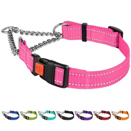 CollarDirect Reflective Dog Collar Martingale Collars Side Release Buckle Chain Training Adjustable Pet Choke Collars (M, Neck Size 14"-17", Pink)