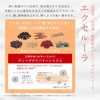 佐藤製薬 エクセルーラ パワークリームEX 40g (ハリ弾力/植物性保湿オイル) 保湿クリーム