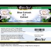 Blue Cohosh 4:1 Extract Cream (2 oz, ZIN: 523903) -
