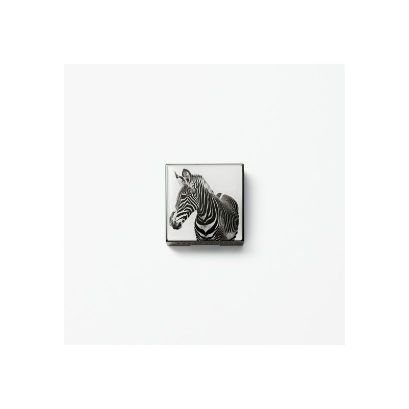 Chantecaille Luminescent Eyeshadow 2.5g - Zebra / 샹테카이 루미네센트 아이섀이드