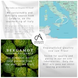 Absolute Aromas Absolute Aromas Bergamot Essential Oil 30ml - 100% Pure, Natural, Undiluted, Vegan and Cruelty-Free
