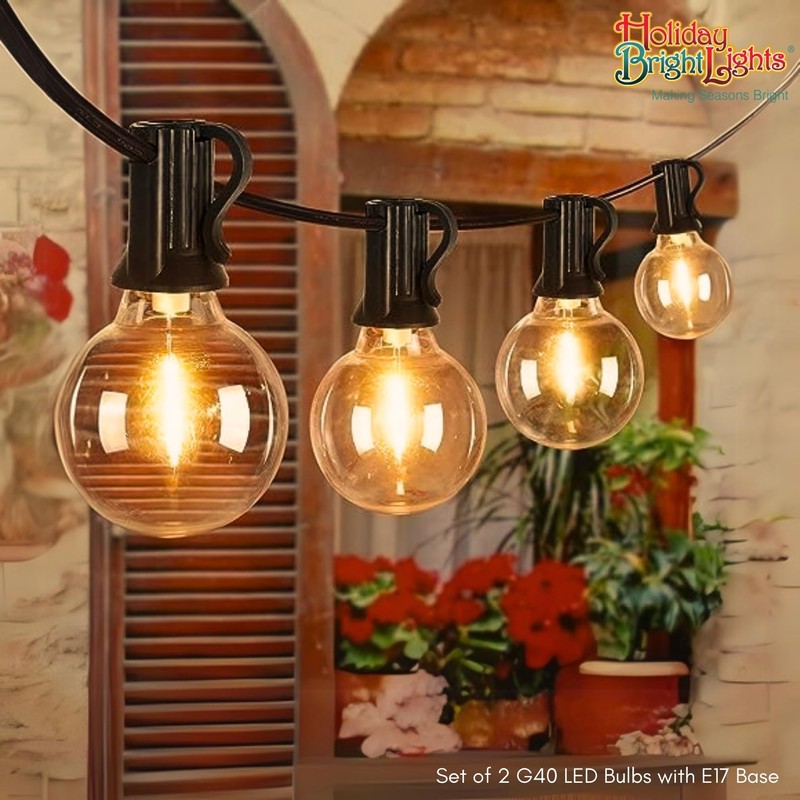 Holiday Bright Lights G40 LED Replacement Bulbs Warm White Dimmable