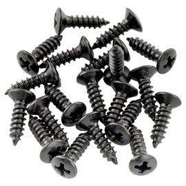 Musiclily Basic 2.5 x 10 mm Metal Metric Thread Pickguard Jack Screws Truss Rod Cover Mounting Screws for Epiphone Les Paul Style Electric Guitar, Black (Set of 20)