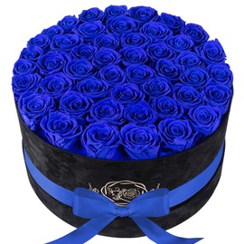 Valentines Day Gifts for Her, Flowers for Delivery Prime - 47-Piece Roses in a Luxury Suede Box - Real Preserved Flowers - Birthday Gifts for Women - Mothers Day Flowers for Mom (Blue)