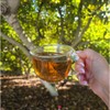 Avocado Leaf Tea – Peach Blend | 8-Pack Single Serve