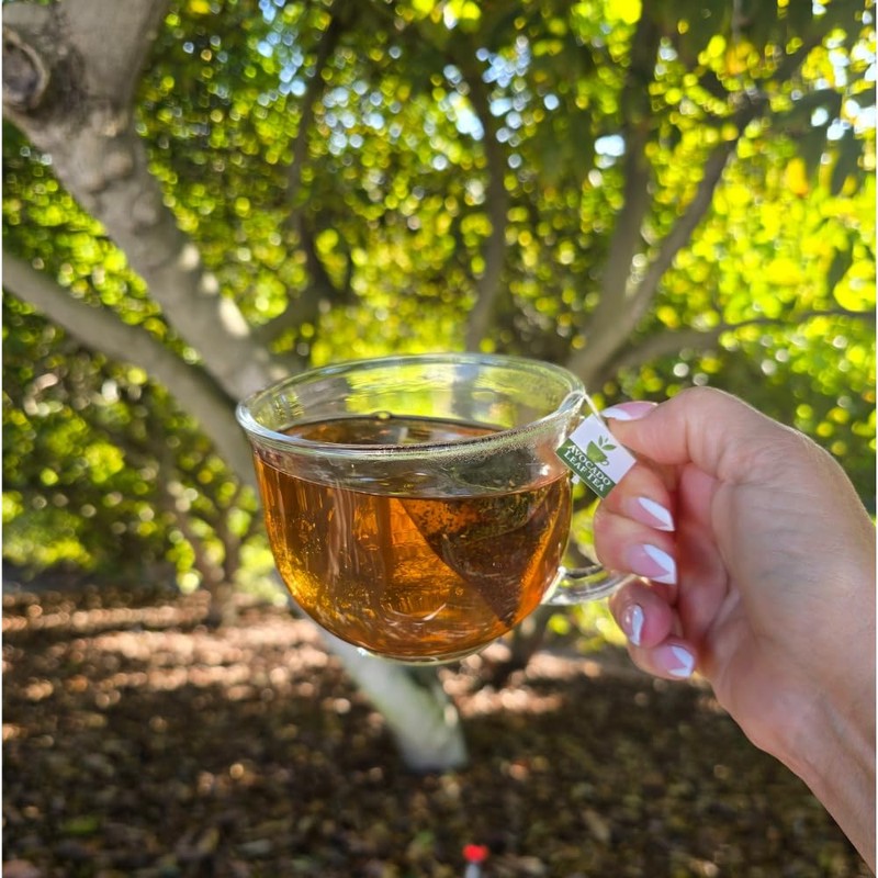 Avocado Leaf Tea – Peach Blend | 8-Pack Single Serve