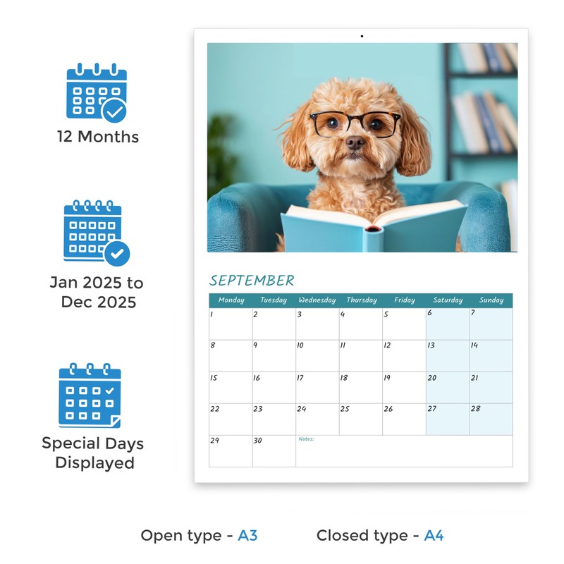 Cockapoo Calendar 2025 12 Month to View A4 2025 Calendar