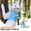 Dooradar Cat Harness and Leash Set, Escape Proof Lightweight Kitten
