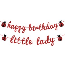 Ladybug Theme Happy Birthday Little Lady Banner - Girl's Baby Shower/Birthday Party Backdrops- Baby's 1st/2nd/3rd Barthday Decorations Supplies for Girl