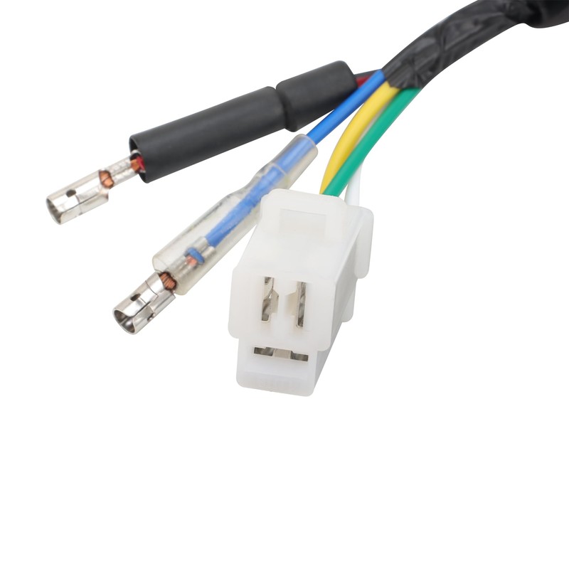 GOOFIT 8 Spule 5 Draht Magneto Stator Ersatz für GY6