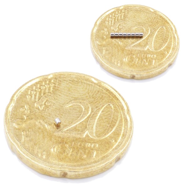 Brud Azon – 100x Mini 1x1 mm Neodymium Magnets Ultra