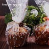 Motroce Clear Cellophane Wrap Roll, 100 Ft x 34 In