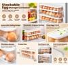 2-Tier Rolling Egg Holder for Refrigerator Organization – Automatic Gravity-Feed