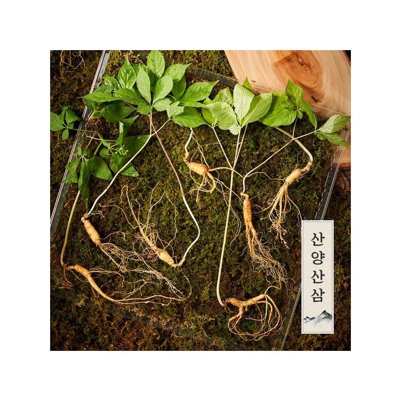Myeongga Ilpum [명가천삼]강원도 산양삼 선물세트 (3뿌리)x2세트 [Myungga Cheonsam] Gangwon-do Mountain