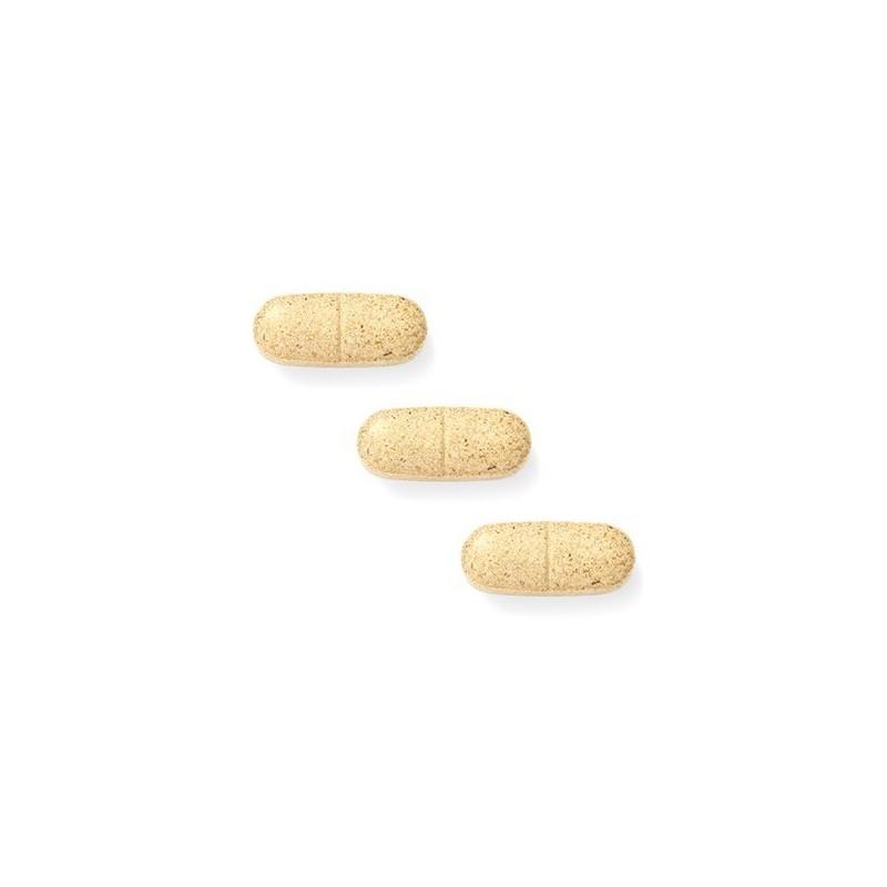 NewOrigin 뉴오리진 히말라야 간건강 밀크씨슬 (60일분) NewOrigin Himalaya Liver Health