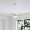 Hunter Fan 52 inch Casual White Indoor/Outdoor Ceiling Fan with