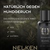 mySecretOil Nelkenöl 30 ml #mundgeruch – Naturreines ätherisches Öl zur