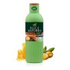 Shampoo Corporal Orgánico Hecho En Italia Unisex Argan Miel