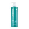 Soy Mint Seborrheic Scalp Scaling Dandruff Shampoo 490ml x 1