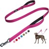 Fida 5 FT Heavy Duty Dog Leash with 2 Comfortable