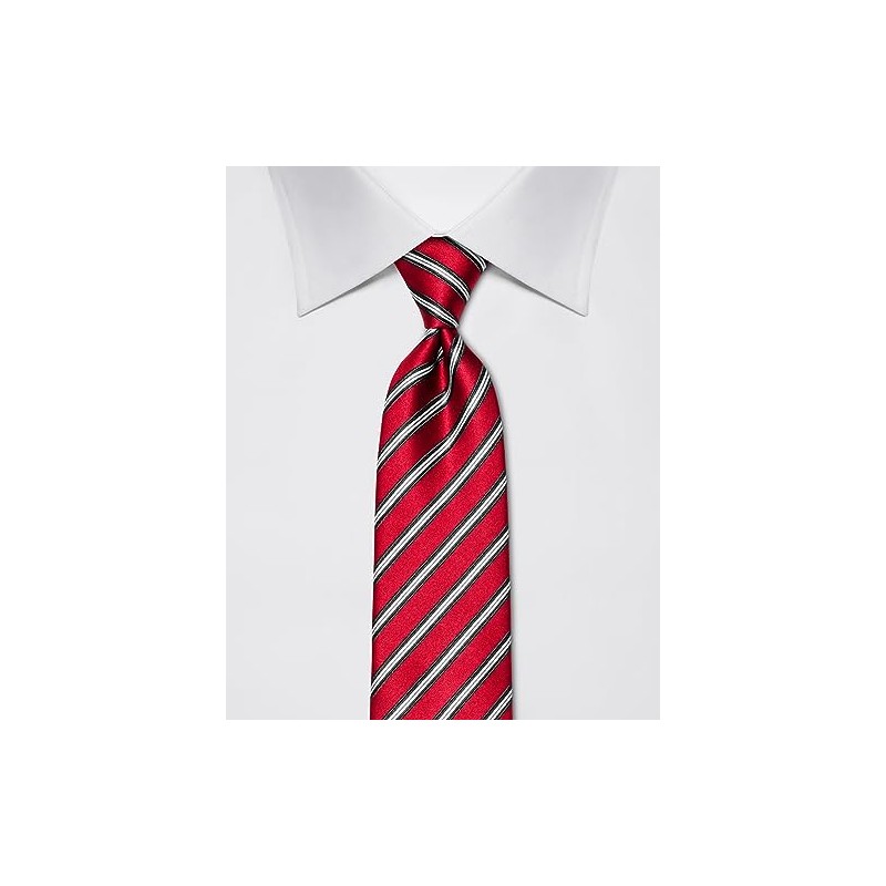 Vincenzo Boretti Men's Tie Pure Silk Striped Elegant Men's Design