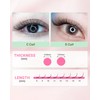 NAGARAKU Easy Fan Eyelash Extensions Volume Lash 0.07 D curl