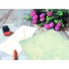 TypeStoff - 50 sheets of writing paper in DIN A4