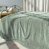 Excervent Soft Flannel Flannel Fleece Twin Size Blanket (60x80 inches,