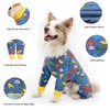 Oslueidy Recovery Suit for Dogs After Surgery - Large Medium
