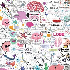Neuroscience Pun Stickers,Funny Neuroscience Stickers,Water Bottle Scrapbooking Stickers,Neuroscience Gifts(50 Pack)