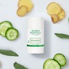 Mario Badescu Mario Badescu Deodorant Infused with Skin-Loving Botanicals |