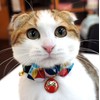Necoichi Daruma Charm Bow Tie Cat Collar (Red)
