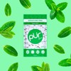 PUR Gum | Aspartame Free Chewing Gum | 100% Xylitol