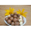 Raw Macadamia Nuts - 5 lb.