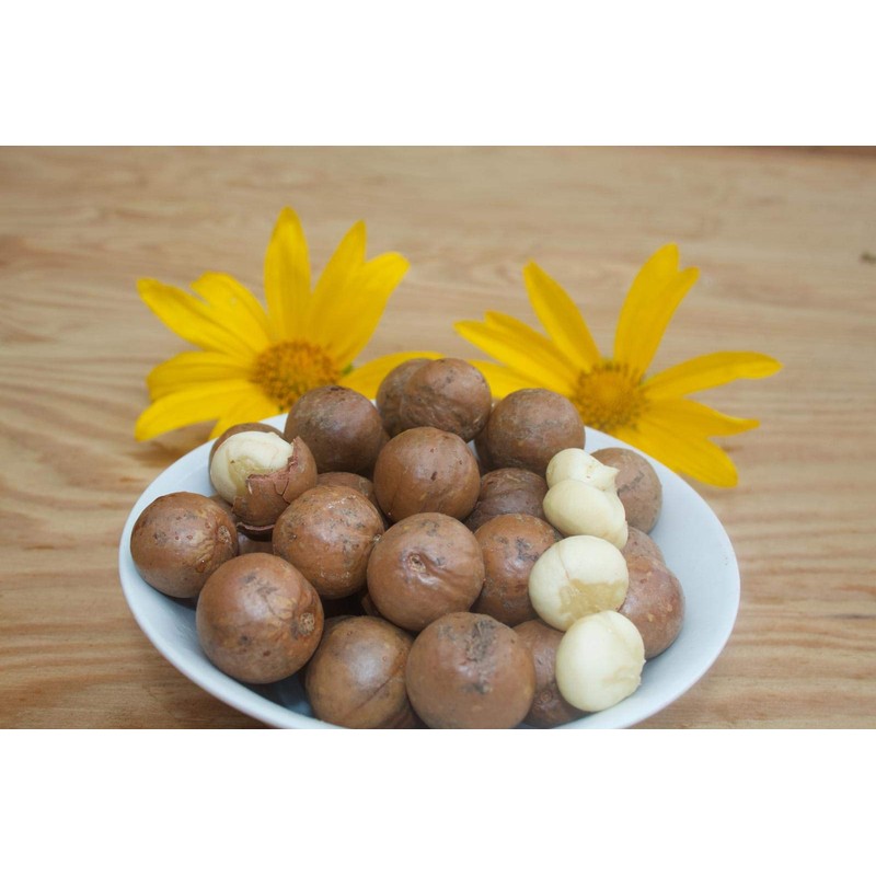 Raw Macadamia Nuts - 5 lb.