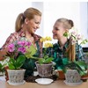 Orchid Pot 12 Pack | 3 of Each 4,5,6,7 Inch,Orchid