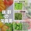 本然農園 モリンガ青汁 RESCUE 健康青汁 粉末 マンジェリコン 自然派 ナチュナル 大麦若葉 食物繊維