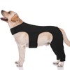 ROZKITCH Dog Pants to Prevent Licking for Rear Right Left
