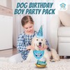 JT PET Dog Birthday Boy Party Pack with Bandana, Star