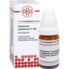 Ammonium carbonicum C200 DHU Globules, 10 g Globules