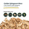 Galápagos (05203) 5-Star Golden Sphagnum Moss | Long-Fiber Snake Bedding,