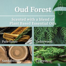 Hemlock Park Wood Wick Candle Handcrafted with Natural Coconut Wax and Essential Oils (Amber & Gold 7.2 oz, Oud Forest)