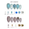 Color Gel Japan Artist Series Polarized Pearl Gel (AS5 Lavender)