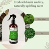 Abbey & Sullivan Linen Spray, Wild Mint Ivy, 16 oz.