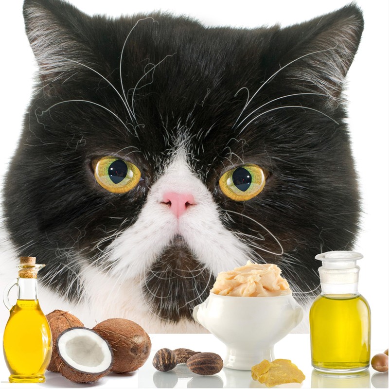 The Blissful Cat Nose Butter, 2-Ounce